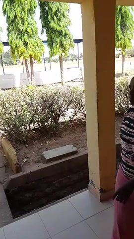 The video shows two women walking in a covered walkway. The walkway has beige columns, white tiled floor, and a view outside showing trees, a grassy field, and a hedge. The first woman is wearing a red patterned dress with a black vest and a head covering. She carries a black bag on her shoulder. The second woman is wearing a maroon shawl and a patterned skirt. She carries a light blue tote bag.