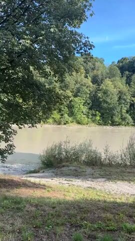 A wide, muddy river flows from left to right across the frame. On the far bank of the river is a dense, green forest that covers a hillside. The sky above is blue with a few white clouds. In the foreground, there is a path with grass on either side. Some bushes are growing along the edge of the river bank. The lighting suggests it is daytime, possibly late morning or early afternoon. The camera is static.
