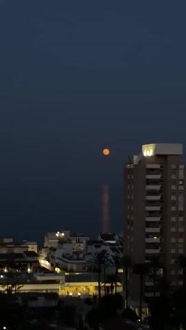 The video shows a nighttime scene overlooking a city and the ocean. The sky is dark blue, and a bright orange moon is visible high in the sky. A reflection of the moon shimmers on the water below, creating a vertical band of light. In the foreground, there are several buildings, including a tall, modern apartment building with illuminated windows. Other smaller buildings with lights on are also visible, as are palm trees. The city lights are on, casting a warm glow on the scene. The overall impression is one of a peaceful evening by the sea.
