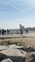 Dog and leashed parrot spotted in Barcelona beach area