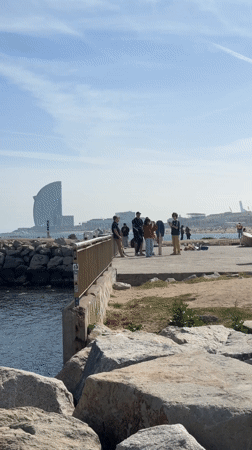 Dog and leashed parrot spotted in Barcelona beach area