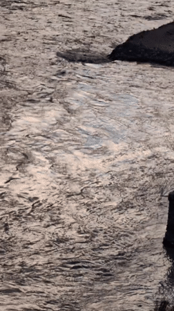 Monsoon motorcycle run through a Himalayan river valley