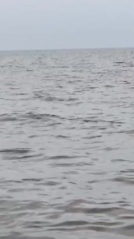 The video shows a body of water with gentle waves under an overcast sky. The camera is positioned low to the water, giving the impression of being on a boat or near the surface. The water is a muted gray color. There is no visible land or sky features other than the horizon. The waves are small and regular, creating a repetitive pattern across the surface. The overall atmosphere is calm and subdued.