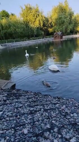 Afternoon in a Volsk riverside park: rides, ponds, and greenery