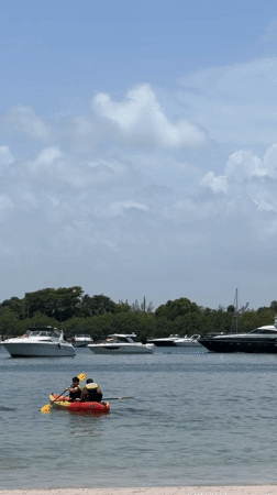 Lazy afternoon on the North Miami waterfront