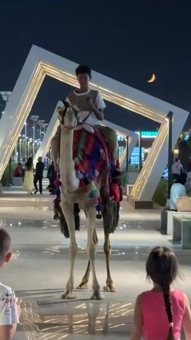 A young boy rides a camel adorned with a colorful saddle blanket, facing forward. The camel stands on a paved walkway at dusk. In the foreground, two children, a boy and a girl, look towards the camel. Behind the camel, several adults are visible walking or sitting. The background features modern white geometric structures with embedded lights, streetlights, and buildings in the distance. A crescent moon is visible in the dark sky.
