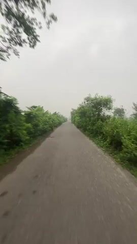 The video shows a drive down a narrow, gray asphalt road flanked by dense, green vegetation under an overcast sky. The road stretches straight ahead, slightly wet, and seems to narrow into the distance. Lush greenery densely lines both sides of the road, consisting of bushes, banana plants, and trees. The sky is a uniform gray, suggesting fog or a cloudy day. The camera appears to be mounted on a vehicle moving forward, creating a sense of motion down the road.
