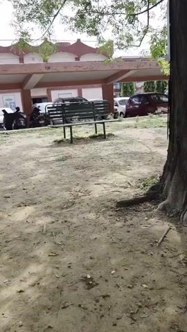 The video shows a slow panning view of an outdoor area with a dirt path in the foreground. In the middle ground, there is a building with a covered walkway or awning, under which several cars and motorcycles are parked. A green park bench is visible in front of the building, and a small tree is planted nearby. To the left of the building, a larger tree with green foliage dominates the scene. Further in the distance, more trees and greenery are visible, along with a blue trash bin and a park bench. The sky appears overcast with some trees obscuring the view.