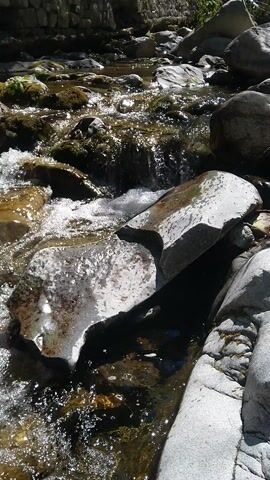 This media file is a close-up, top-down view of a shallow, clear stream flowing over rocks. The water is actively moving, creating small splashes and ripples that catch the sunlight, giving the surface a sparkling appearance. The rocks are varied in size and color, ranging from smooth, grey stones to rougher, darker ones, some of which are covered in moss or algae, suggesting a natural, outdoor environment.

The scene is illuminated by natural sunlight, likely during the daytime, as evidenced by the bright reflections on the water. The overall impression is one of a tranquil, natural setting. There are no people or man-made objects visible, emphasizing the focus on the natural flow of water and the surrounding rocks. The camera angle is static and directly above the stream, allowing for a detailed observation of the water's movement and the textures of the rocks. The footage appears to be part of a longer video, indicated by the timestamp at the beginning.

The location context of Garliano, Bulgaria, combined with the imagery of a rocky stream, suggests a natural landscape, possibly a mountain stream or a riverbed. The clear water and the presence of mossy rocks indicate a healthy ecosystem and likely cool, fresh water. No text is visible within the media itself.