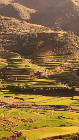 The video opens with a high-angle view of a vast, mountainous landscape covered in numerous, vibrant green rice terraces. Small structures are visible among the terraced fields. At 0:01, a pair of brown-framed sunglasses with tinted lenses moves into the foreground, obscuring most of the view, with the background becoming blurred. The sunglasses then move out of frame at 0:02, revealing the same clear, detailed view of the terraced mountains and valleys, with a river or stream visible in the lower portion of the valley.