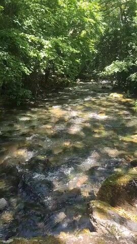 The video opens with a shot of a clear stream flowing through a lush green forest. Sunlight dapples through the leaves, creating patterns on the water's surface. The camera then pans to the right, revealing a rustic wooden bridge spanning the stream. The bridge is made of rough-hewn logs and branches, with a simple railing. The stream continues to flow beneath the bridge, with rocks and pebbles visible on the streambed. The forest canopy overhead provides a cool, shaded environment. The video ends with a shot looking downstream, with the wooden bridge in the foreground and the stream winding its way through the trees.