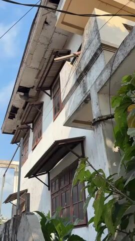 The video is a low-angle shot of a dilapidated building against a clear blue sky. The building appears to be white with some areas of discoloration and damage. There are multiple windows with brown wooden frames, some covered by corrugated metal awnings. The roofline shows signs of significant deterioration, with exposed beams and missing sections. In the foreground, green foliage is visible, partially obscuring the lower part of the building. The overall impression is one of neglect and disrepair. There are no people visible in the video, nor any obvious signs of activity. The environment appears to be outdoors, possibly in an urban or semi-urban setting.