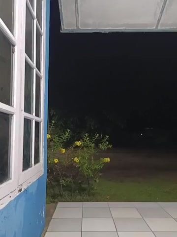 The video shows a view from a covered porch looking out into a dark yard at night. On the left, a blue wall and a white-framed window are visible. In the middle of the frame, a bush with yellow flowers is illuminated by a light source. To the right, a decorative blue and white pillar stands on the porch. Beyond the porch, a grassy yard extends into darkness, with trees or bushes visible in the background. The floor of the porch is tiled with a light-colored grid pattern.