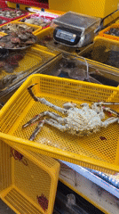 Live seafood and street vibes at Busan's Jagalchi Market