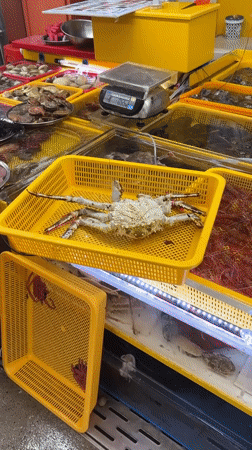 Live seafood and street vibes at Busan's Jagalchi Market