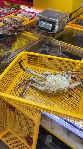 Live seafood and street vibes at Busan's Jagalchi Market