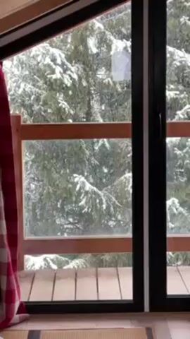 Here is a description of the scene:

The view from inside a building shows heavy snowfall outside. The shot is framed by a black-framed glass door, with a wooden railing visible just beyond the glass. Snow-covered trees fill the background. A red and white checkered curtain hangs to the left of the door. The floor inside is made of light-colored wood, with a small woven mat in the foreground.