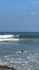 Morning beach activities include surfing and coconut drinking
