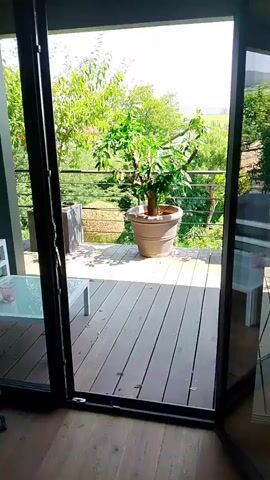 This is a video taken from inside a modern house, looking out through large sliding glass doors onto a wooden deck and a garden. The scene appears to be a residential setting, likely a backyard or patio area. The time of day seems to be daytime, with bright natural light suggesting sunny weather.

The primary subjects are a large potted tree in the center of the deck and a smaller potted tree to its left. Both trees are lush and green, indicating a warm season. The deck is made of wooden planks. Beyond the deck, there is a railing, and behind that, a densely vegetated garden with various trees and bushes. In the background, houses and trees are visible, suggesting a suburban or semi-rural location.

The activity taking place is simply the viewing of this scene, with the camera slowly panning from left to right across the deck and garden. There are no people visible in the video. The overall mood is peaceful and serene, showcasing a well-maintained outdoor space.

Notable details include the large ceramic pot holding the main tree, the wooden deck with visible planks and shadow patterns, and the railing that separates the deck from the garden. The greenery is abundant, and the sky is bright and mostly clear, indicating good weather. The location cues, combined with the visual style, align with a European setting, specifically Winkel, Germany. No text is visible in the video.