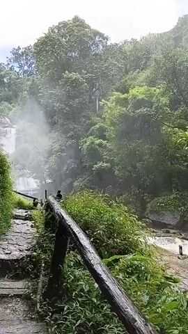 A stone pathway leads up a slight incline bordered by lush green foliage and a wooden railing. To the left, a cascading waterfall creates a misty atmosphere against a backdrop of dense trees. Two small, dark figures are visible on the railing, appearing to be birds. The overall environment suggests a natural, outdoor setting, possibly a park or hiking trail.