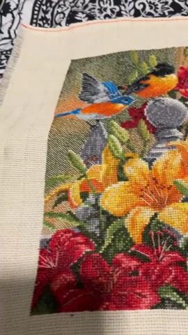 The video shows a close-up of a nearly completed cross-stitch embroidery project. The embroidery depicts a garden scene with various birds and flowers. In the foreground, there are large red lilies, and behind them, yellow lilies. Several birds are visible, including a bluebird, an orange and black bird, two cardinals (one light tan and one bright red), and a yellow and black bird in flight. There are also grey, rocky elements that appear to be part of the landscape or decorative elements within the garden. The background is a gradient of green and yellow, suggesting foliage or a sky. The edges of the embroidery canvas are visible, with some orange stitching along the top border. The lighting is warm and appears to be natural or from a nearby light source. The video pans slowly across the embroidery, allowing a detailed view of the stitches and the colorful artwork.