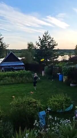 A video shows a backyard scene at dusk. A person throws a yellow disc, which is visible in the air. The person then walks away and is joined by another person, a child. The child runs and jumps in the air. The scene includes a house, trees, a fence, and a body of water in the background. The lighting suggests it is either sunrise or sunset.