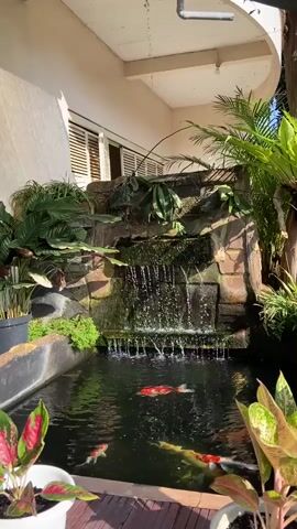The video shows an outdoor koi pond with a waterfall feature. Several koi fish, with orange and white markings, swim in the dark water. Lush green plants surround the pond, including ferns and other leafy foliage. The pond is situated on a wooden deck, and a portion of a building with white blinds is visible in the background. Sunlight illuminates the scene, casting shadows and highlighting the water's movement.