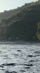 Choppy waters captured near tree-lined beach in Nusa Penida