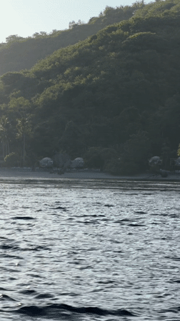Choppy waters captured near tree-lined beach in Nusa Penida