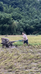 Farmer tills flooded rice paddy in rural Vietnam