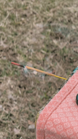 Outdoor barbecue gathering with food prep in Parečča, Belarus