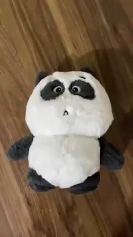 A close up video shows a plush panda toy on a wood grain surface. The panda is white with gray around its eyes, ears, and paws. The panda has large, expressive eyes. The camera zooms in to focus on the eyes.