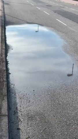 The video shows a large puddle of water on the edge of an asphalt road. The puddle reflects the sky and the street lamps above. The road has white lane markings and a sidewalk with a brick border.