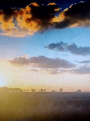 Witness captures eight diverse everyday moments over 17 minutes
