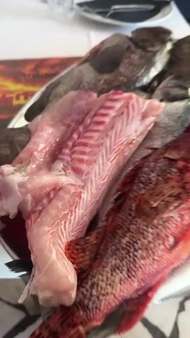 The video shows a close-up of a large platter of fresh fish being presented at a restaurant table. A person's hand, likely a waiter or chef, points to different fish on the platter. The selection includes a vibrant red scorpionfish, several whole grey-scaled fish (possibly sea bass or similar species), and a fillet of white fish. The fish appear very fresh, with clear eyes and intact scales.

In the background, a white tablecloth is visible, set with plates, cutlery (a fork and knife), and glasses. A camera rests on the table. Part of a menu, with the word "Grill" prominently displayed, is also seen. Other people are partially visible in the background, seated at the table. The setting appears to be an indoor or semi-covered dining area with a patterned tile floor. The activity involves the presentation of fresh catch to diners, likely for selection before preparation. The scene takes place during the day, with natural light. The given location context is Bigova, Montenegro.