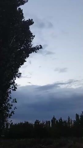 A person records a video of a stormy sky with dark clouds moving in. A tree is visible on the left side of the screen, and a line of trees is visible in the distance. The ground in the foreground is dark and appears to be a dirt road or path. The video appears to be taken at dusk or during an overcast day.