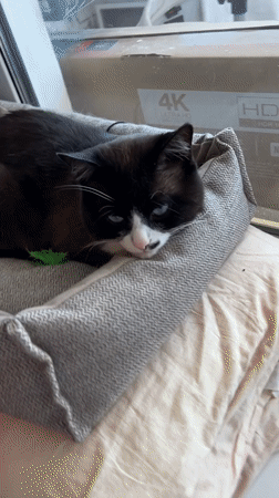 Routine domestic moments documented in Russian household