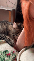 Tender moments captured: cat cuddles and heart gestures