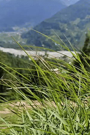 Mountain valley landscapes documented in Bahang, India