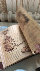 Person explores mystical Russian texts in Belgrade home