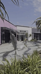 Leaping dolphin sculpture in a San Diego outdoor water feature