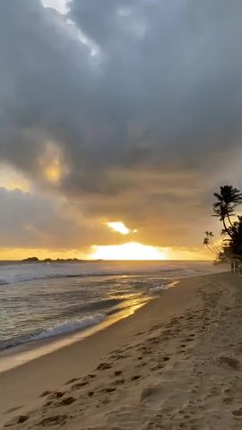 This is a vertical, medium shot video of a beach at sunset. The scene captures a tropical beach with a golden sand shore in the foreground, marked with footprints. Gentle waves from the ocean roll onto the shore, creating a foamy edge. In the distance, a few large rocks jut out of the water. A line of palm trees, silhouetted against the sky, stands along the right side of the beach. The sky is filled with dramatic clouds, a mix of dark grey and lighter, dramatic clouds tinged with the warm hues of the setting sun, which is breaking through a gap in the clouds, casting a bright, golden light across the water and sand. The overall mood is tranquil and serene, evoking the beauty of a tropical sunset. The time of day is clearly sunset, given the lighting. The weather appears to be a bit cloudy but still allows for a beautiful sunset display. The location is identified as Hikkaduwa, Sri Lanka, which is consistent with the palm trees and the tropical beach setting. There are a couple of distant figures walking on the beach. There is no visible text in the media.
