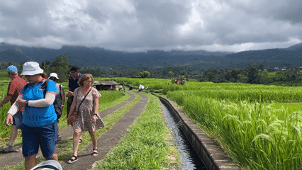 Group walks through green rice paddies in Penebel, Indonesia