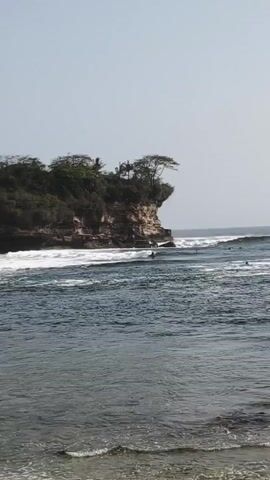 A view of the ocean with a rocky cliff face covered in trees in the background. There are waves crashing on the shore in front of the cliff. Several surfers are visible in the water, and one person is in the process of surfing a wave. The sky is clear and pale.