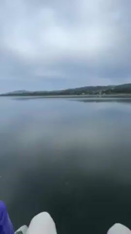 The video displays a calm body of water stretching to a distant shoreline with low, tree-covered hills under a cloudy, overcast sky. The water's surface reflects the sky, creating a mirror-like effect. Two legs clad in white pants are visible in the lower portion of the frame, implying the perspective of someone sitting or standing near the water's edge.