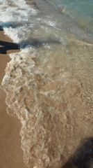 First-person beach walk along the Bulgarian Black Sea coast
