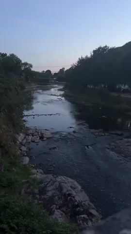 The video shows a river flowing through a wooded area. The sky is a pale blue with a hint of pink, suggesting it is either dawn or dusk. The riverbanks are lined with trees and vegetation. There are some rocks in the river. In the distance, a bridge can be seen crossing the river. The scene is peaceful and natural.