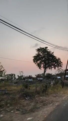 The video pans across a rural landscape at dusk. A lone tree with dark foliage stands in the center of the frame, silhouetted against a pale pink and gray sky. In the middle ground, there's a small, open-sided structure with a tiled roof, supported by pillars. Beyond that, several low buildings or structures are visible, along with some fencing. The foreground is a dirt or gravel road. Power lines crisscross the sky, supported by utility poles. The overall atmosphere is peaceful and still.