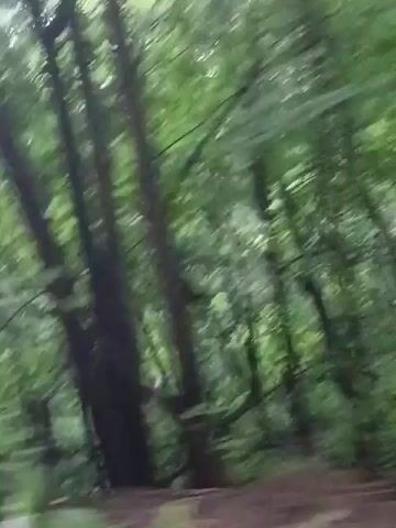 The video captures a blurred, fast-moving view of a dense forest, dominated by lush green foliage and tree trunks. The camera appears to be in motion, possibly from a vehicle, creating a sense of rapid movement through the trees. The lighting suggests an overcast or shaded environment, contributing to the overall green tones. There are no discernible people or distinct objects within the frame due to the motion blur and the nature of the environment. The scene is natural and unmanicured, with the focus being on the immersive experience of passing through the woods.