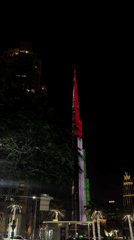 Mixed Dubai memories: Burj Khalifa display, self-filming, foliage, indoor incident